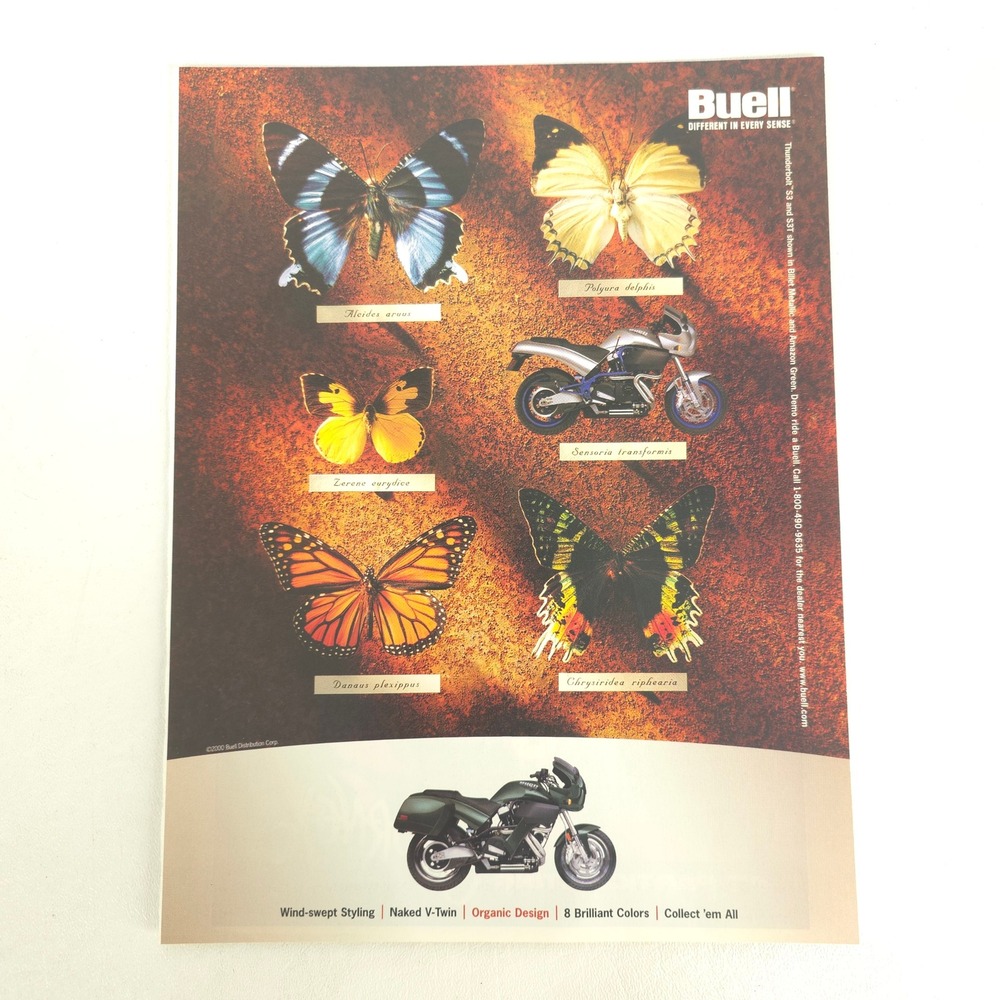 Buell Thunderbolt S3 S3T Print Ad Motorcycle V-Twin Butterfly Garage Wall Art